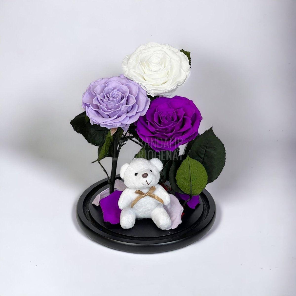 3 Trandafiri Criogenati mari, alb, lila, purpuriu, cupola ursulet - Trandafir-Criogenat.ro