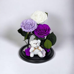 3 Trandafiri Criogenati mari, alb, lila, purpuriu, cupola ursulet - Trandafir-Criogenat.ro