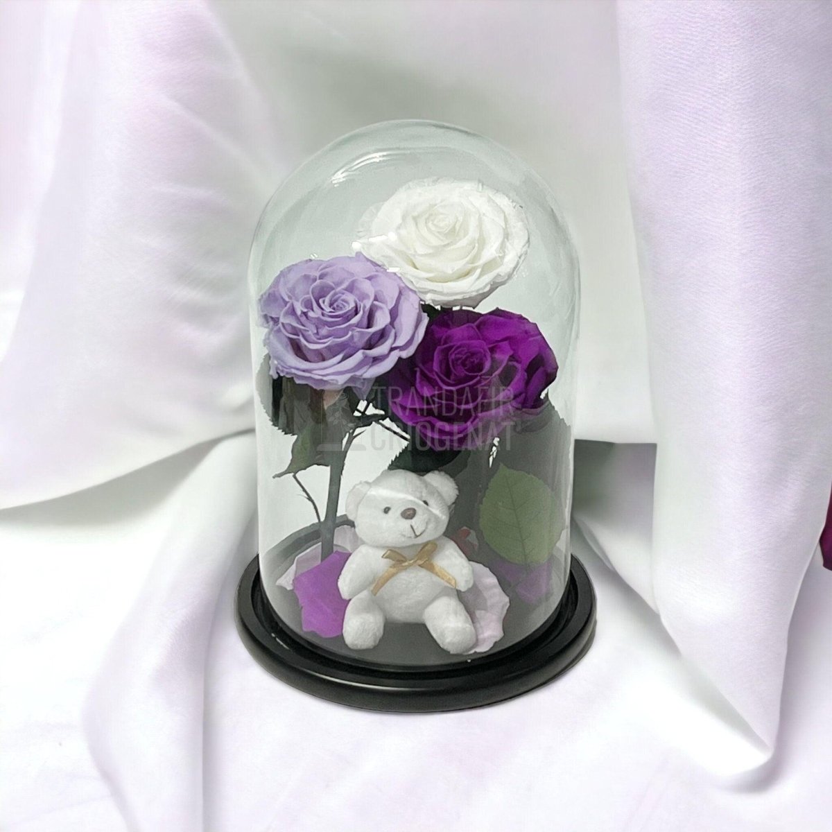 3 Trandafiri Criogenati mari, alb, lila, purpuriu, cupola ursulet - Trandafir-Criogenat.ro