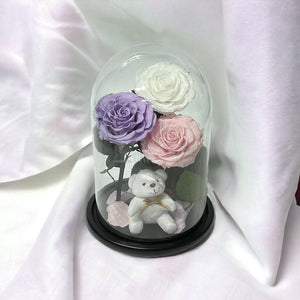 3 Trandafiri Criogenati mari, alb, lila, roz, cupola ursulet - Trandafir-Criogenat.ro