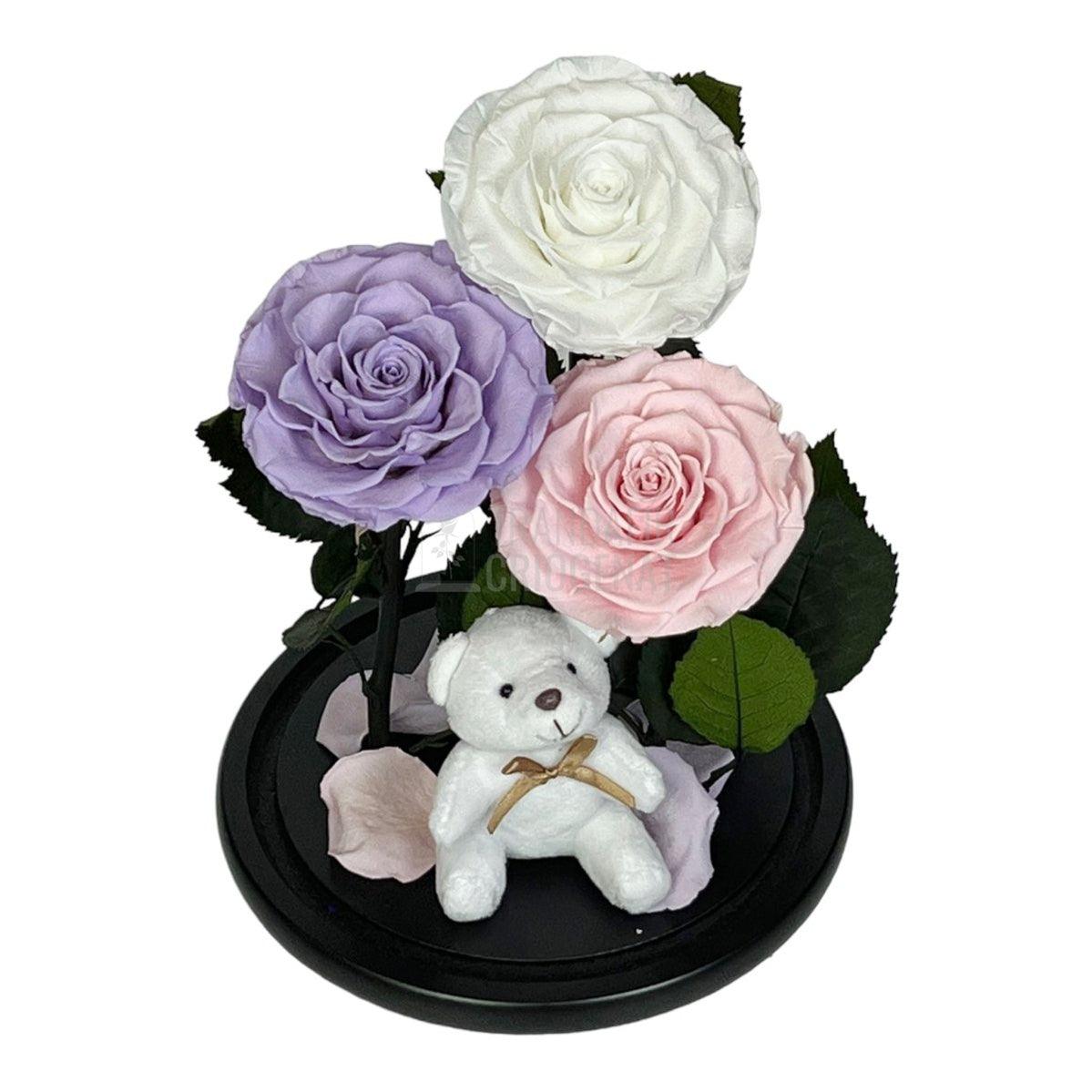 3 Trandafiri Criogenati mari, alb, lila, roz, cupola ursulet - Trandafir-Criogenat.ro