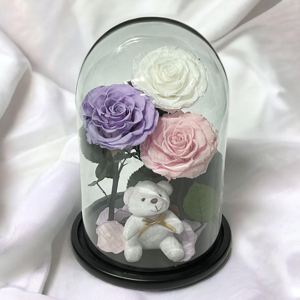 3 Trandafiri Criogenati mari, alb, lila, roz, cupola ursulet - Trandafir-Criogenat.ro