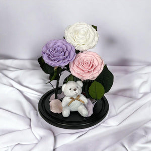 3 Trandafiri Criogenati mari, alb, lila, roz, cupola ursulet - Trandafir-Criogenat.ro