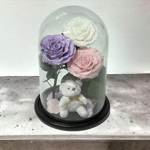 3 Trandafiri Criogenati mari, alb, lila, roz, cupola ursulet - Trandafir-Criogenat.ro