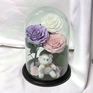 3 Trandafiri Criogenati mari, alb, lila, roz, cupola ursulet - Trandafir-Criogenat.ro