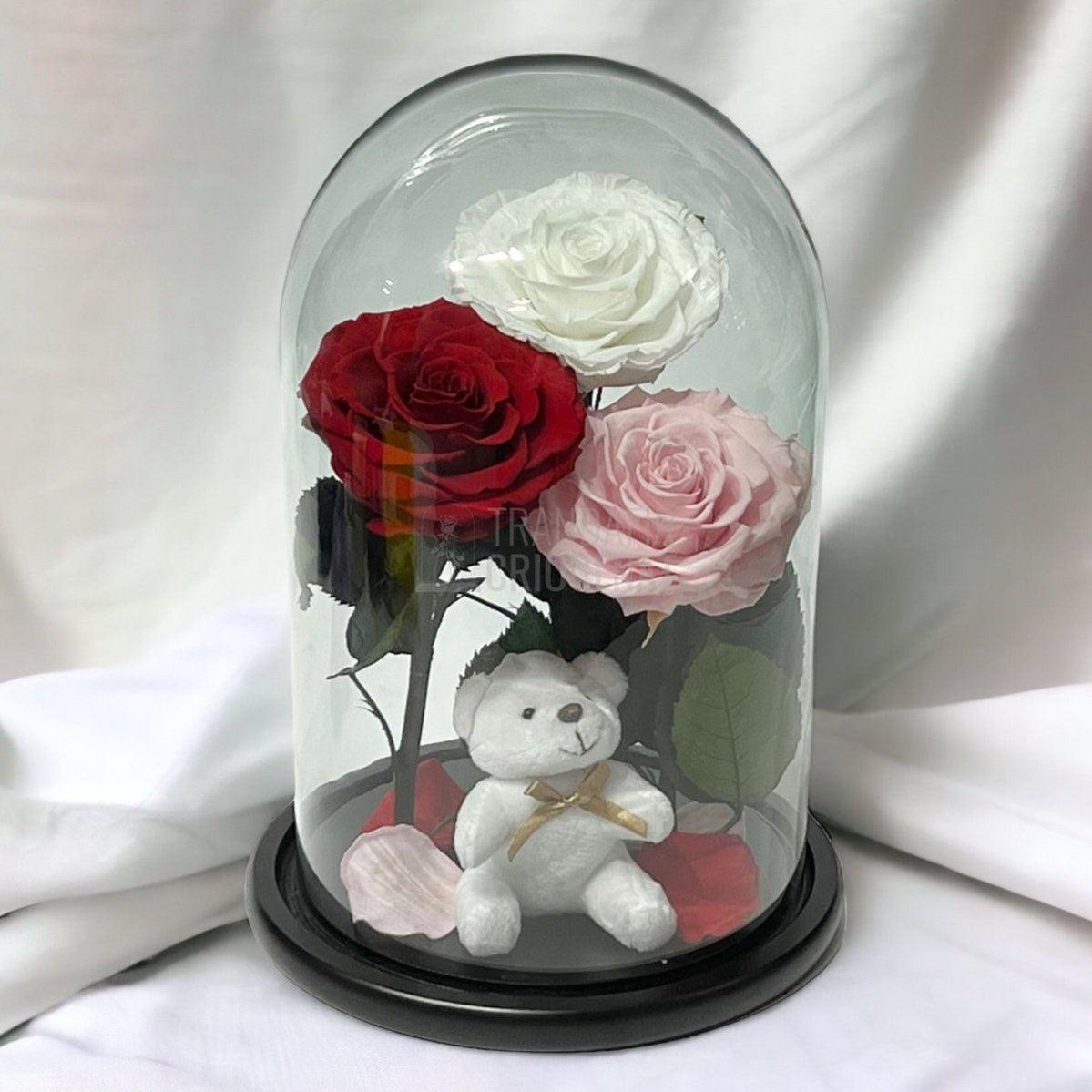 3 Trandafiri Criogenati mari, alb, rosu, roz, cupola ursulet - Trandafir-Criogenat.ro