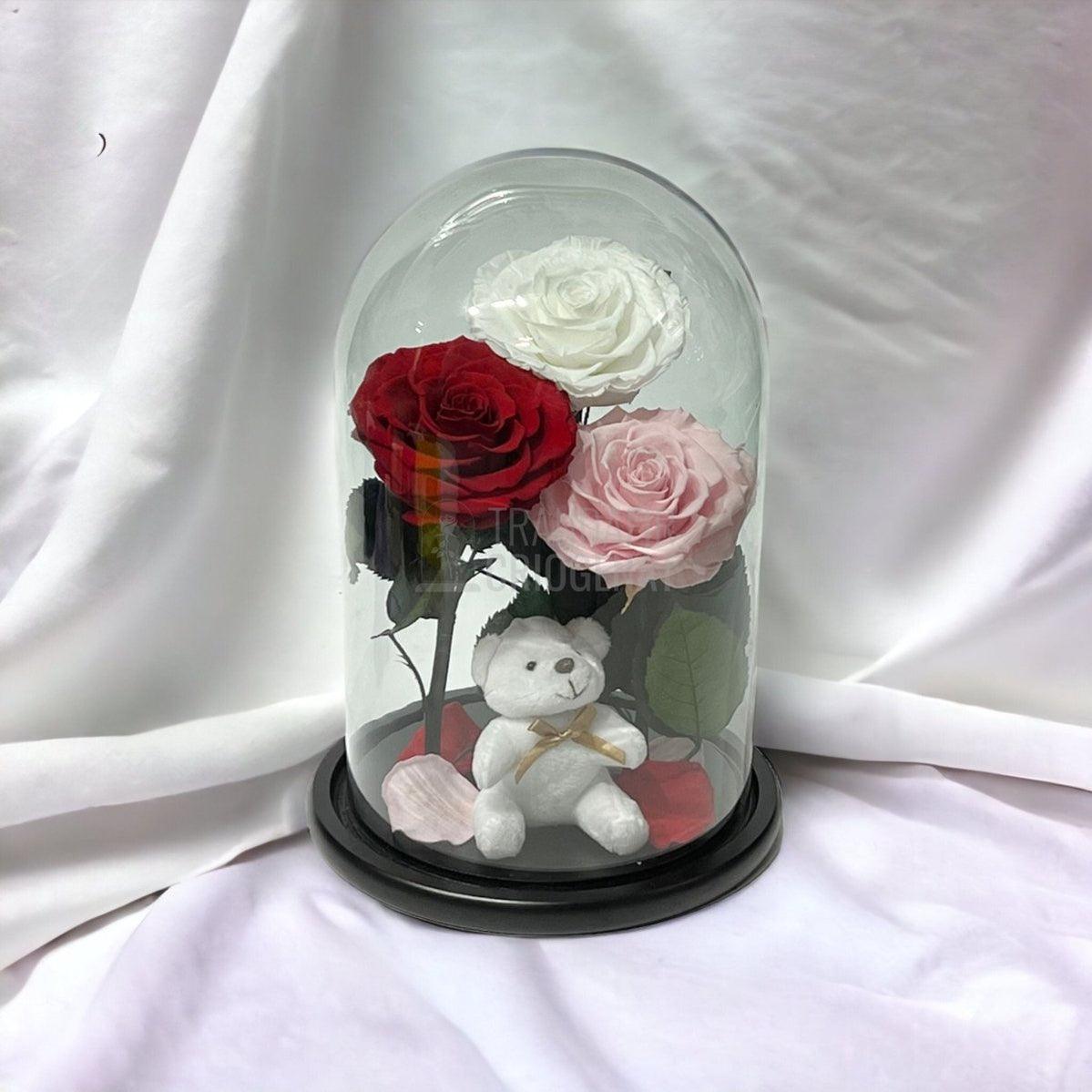 3 Trandafiri Criogenati mari, alb, rosu, roz, cupola ursulet - Trandafir-Criogenat.ro