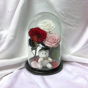 3 Trandafiri Criogenati mari, alb, rosu, roz, cupola ursulet - Trandafir-Criogenat.ro