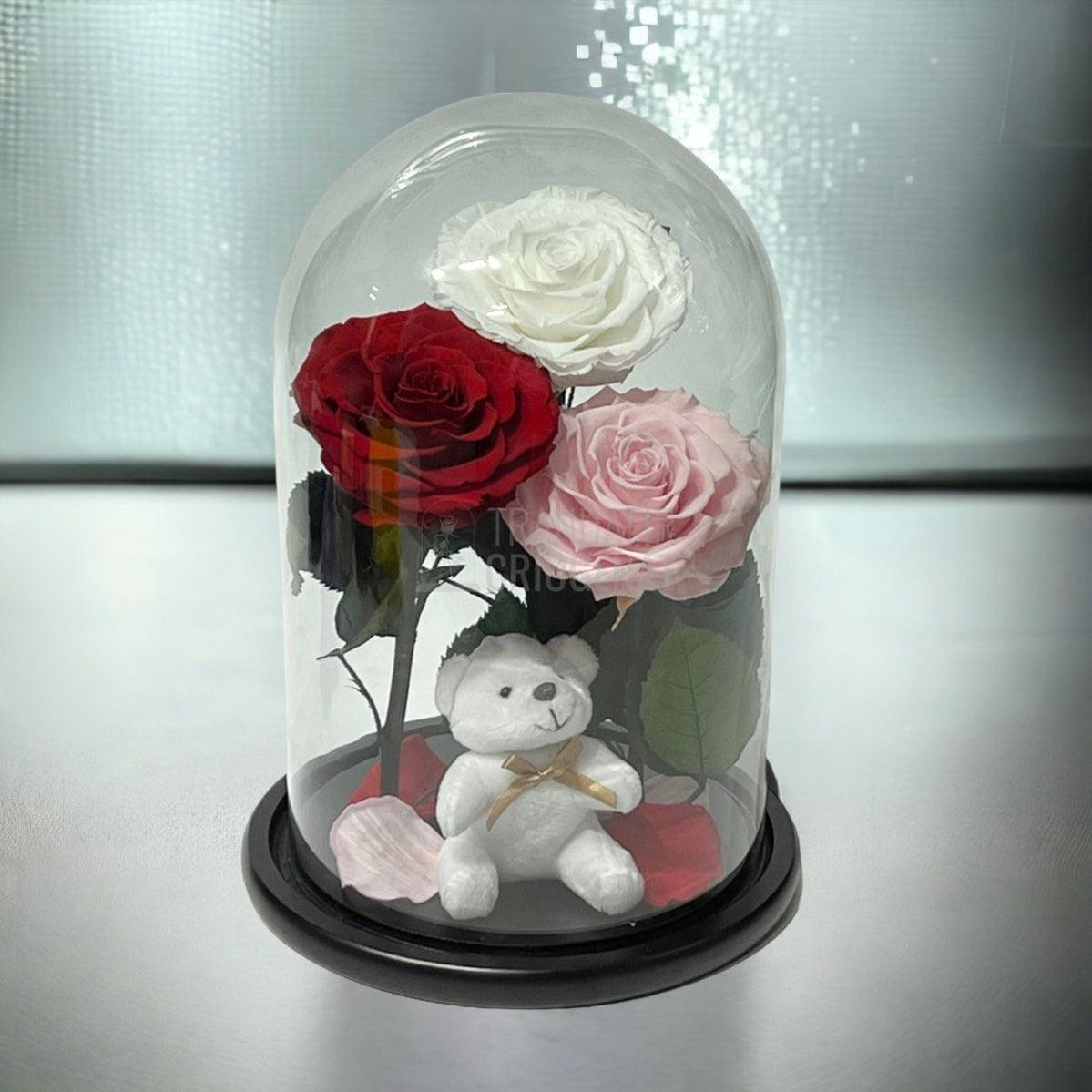 3 Trandafiri Criogenati mari, alb, rosu, roz, cupola ursulet - Trandafir-Criogenat.ro