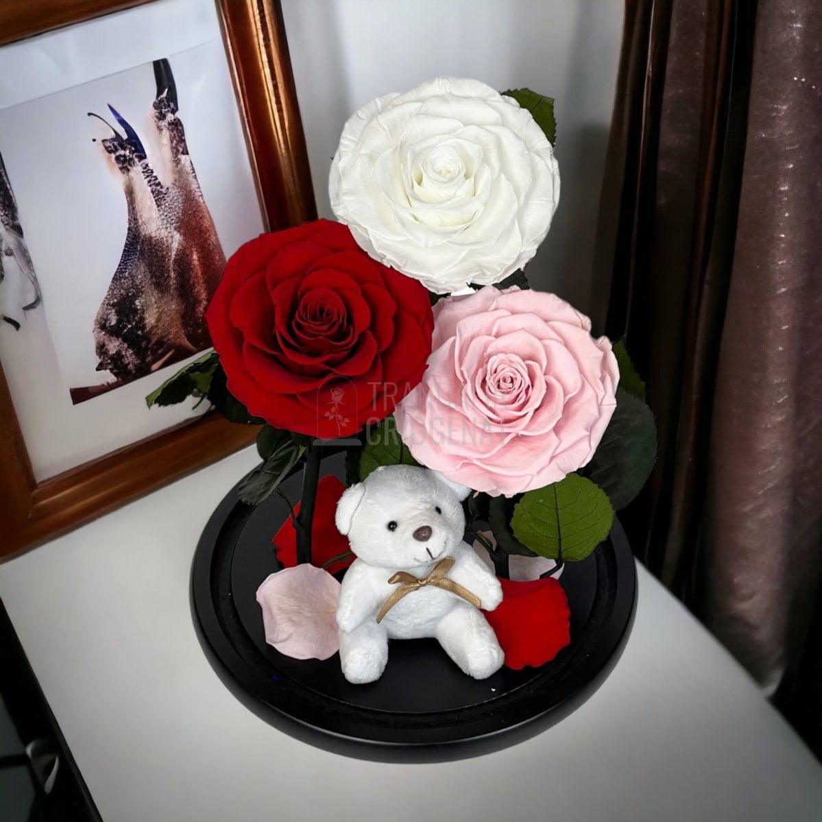 3 Trandafiri Criogenati mari, alb, rosu, roz, cupola ursulet - Trandafir-Criogenat.ro
