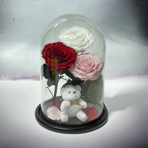 3 Trandafiri Criogenati mari, alb, rosu, roz, cupola ursulet - Trandafir-Criogenat.ro