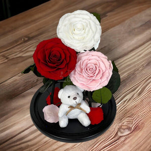 3 Trandafiri Criogenati mari, alb, rosu, roz, cupola ursulet - Trandafir-Criogenat.ro