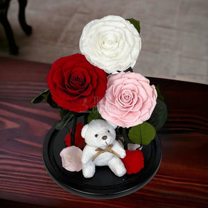 3 Trandafiri Criogenati mari, alb, rosu, roz, cupola ursulet - Trandafir-Criogenat.ro