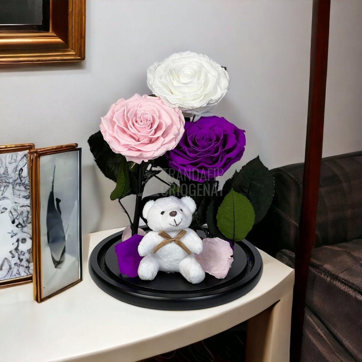 3 Trandafiri Criogenati mari, alb, roz, purpuriu, cupola ursulet - Trandafir-Criogenat.ro