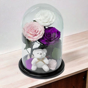 3 Trandafiri Criogenati mari, alb, roz, purpuriu, cupola ursulet - Trandafir-Criogenat.ro