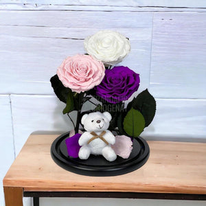 3 Trandafiri Criogenati mari, alb, roz, purpuriu, cupola ursulet - Trandafir-Criogenat.ro