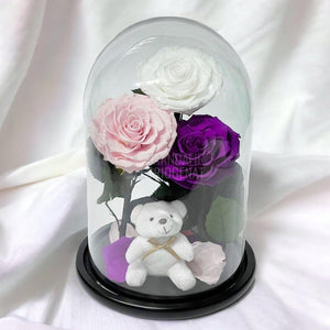 3 Trandafiri Criogenati mari, alb, roz, purpuriu, cupola ursulet - Trandafir-Criogenat.ro