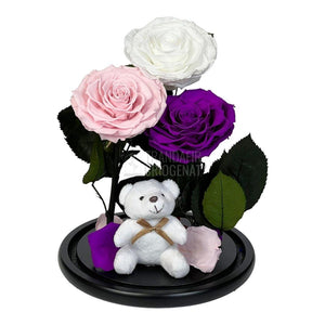 3 Trandafiri Criogenati mari, alb, roz, purpuriu, cupola ursulet - Trandafir-Criogenat.ro