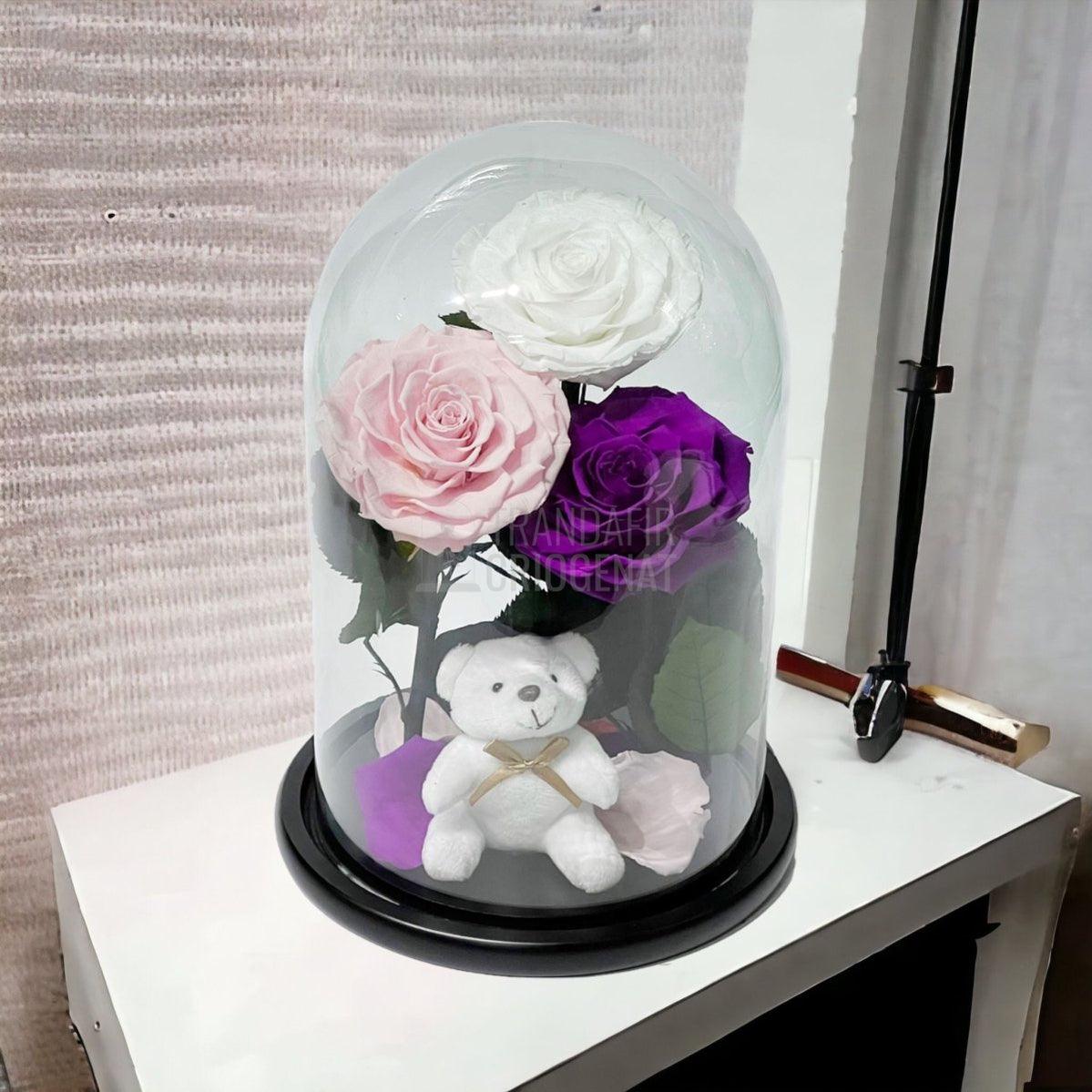 3 Trandafiri Criogenati mari, alb, roz, purpuriu, cupola ursulet - Trandafir-Criogenat.ro