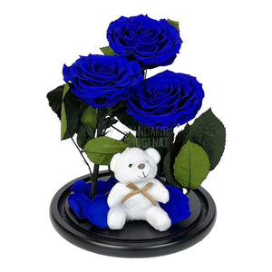 3 Trandafiri Criogenati mari albastrii in cupola, cu ursulet - Trandafir-Criogenat.ro