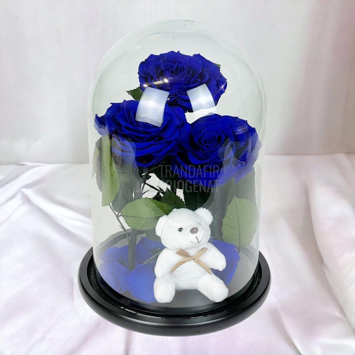 3 Trandafiri Criogenati mari albastrii in cupola, cu ursulet - Trandafir-Criogenat.ro