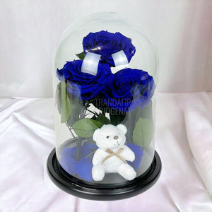 3 Trandafiri Criogenati mari albastrii in cupola, cu ursulet - Trandafir-Criogenat.ro