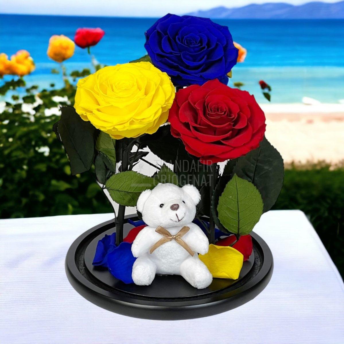 3 Trandafiri Criogenati mari, albastru, galben, rosu, cupola ursulet - Trandafir-Criogenat.ro