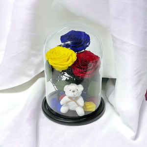 3 Trandafiri Criogenati mari, albastru, galben, rosu, cupola ursulet - Trandafir-Criogenat.ro