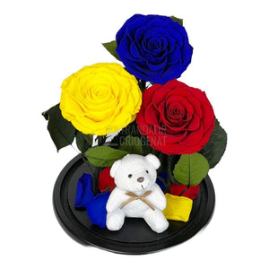 3 Trandafiri Criogenati mari, albastru, galben, rosu, cupola ursulet - Trandafir-Criogenat.ro