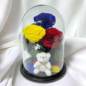 3 Trandafiri Criogenati mari, albastru, galben, rosu, cupola ursulet - Trandafir-Criogenat.ro