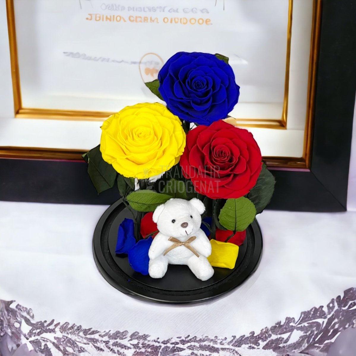 3 Trandafiri Criogenati mari, albastru, galben, rosu, cupola ursulet - Trandafir-Criogenat.ro