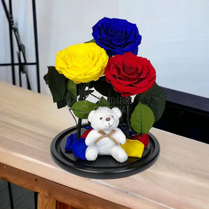 3 Trandafiri Criogenati mari, albastru, galben, rosu, cupola ursulet - Trandafir-Criogenat.ro