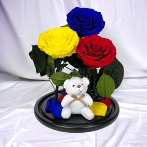 3 Trandafiri Criogenati mari, albastru, galben, rosu, cupola ursulet - Trandafir-Criogenat.ro