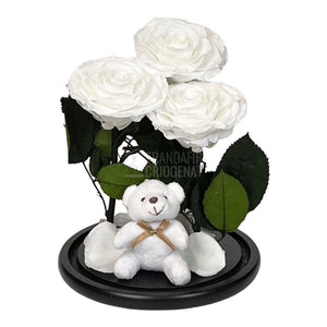 3 Trandafiri Criogenati mari albi in cupola sticla, cu ursulet - Trandafir-Criogenat.ro