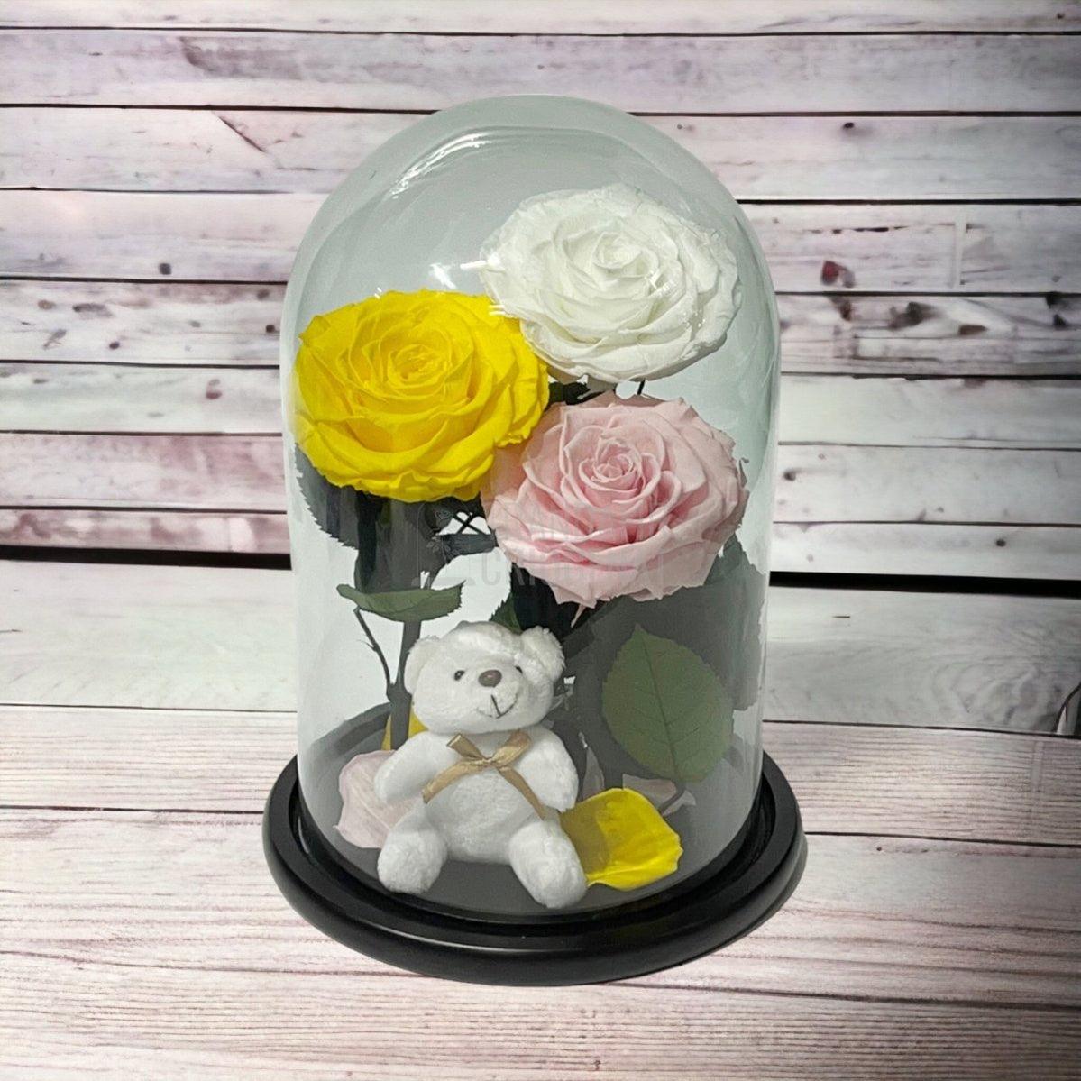 3 Trandafiri Criogenati mari, galben, alb, roz, cupola ursulet - Trandafir-Criogenat.ro