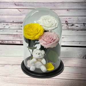 3 Trandafiri Criogenati mari, galben, alb, roz, cupola ursulet - Trandafir-Criogenat.ro