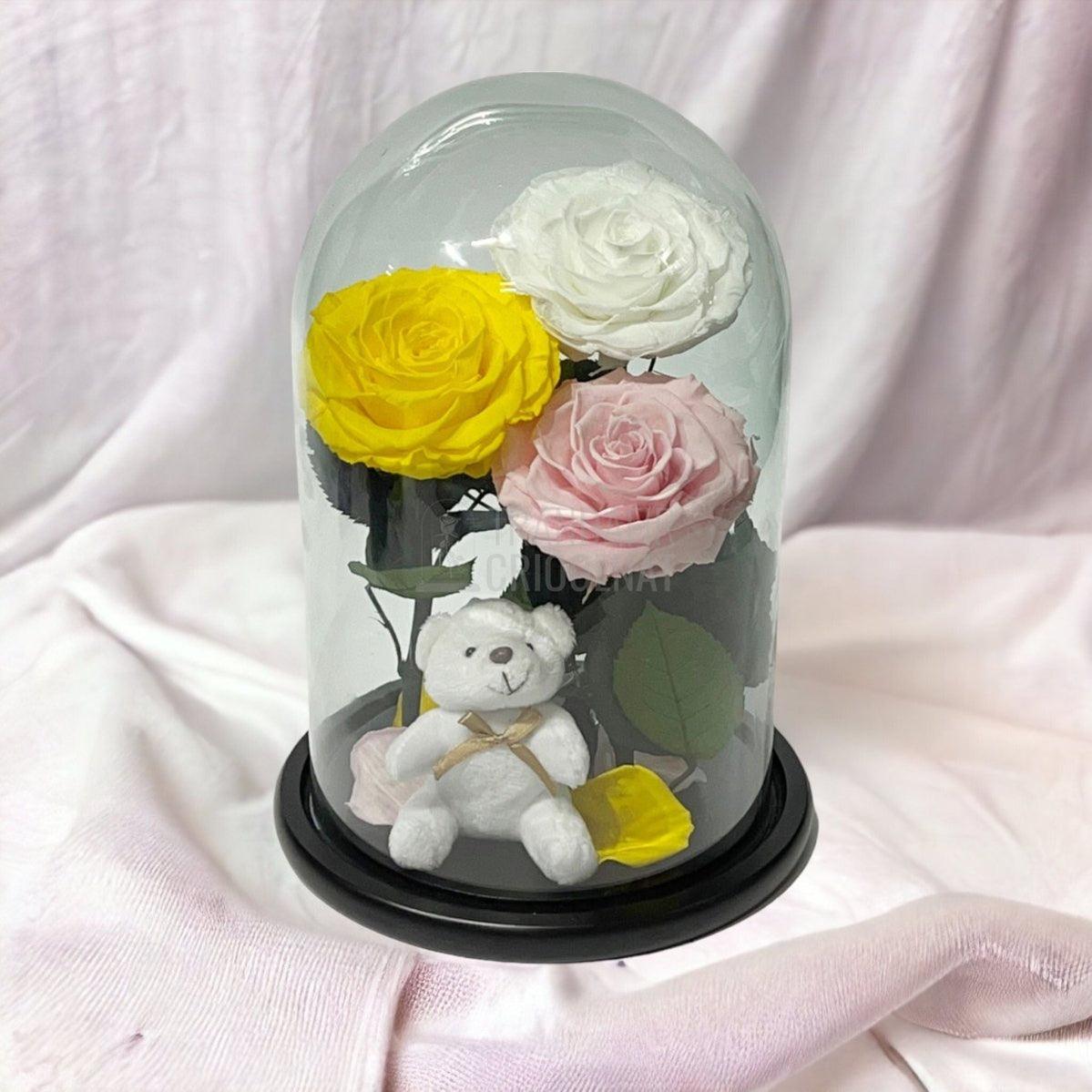 3 Trandafiri Criogenati mari, galben, alb, roz, cupola ursulet - Trandafir-Criogenat.ro