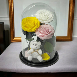 3 Trandafiri Criogenati mari, galben, alb, roz, cupola ursulet - Trandafir-Criogenat.ro