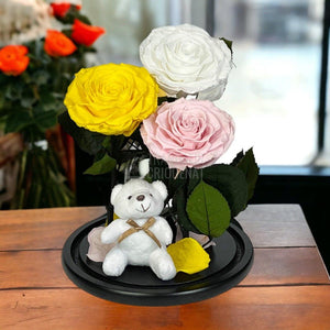 3 Trandafiri Criogenati mari, galben, alb, roz, cupola ursulet - Trandafir-Criogenat.ro