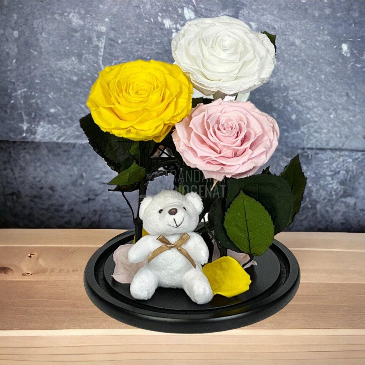 3 Trandafiri Criogenati mari, galben, alb, roz, cupola ursulet - Trandafir-Criogenat.ro