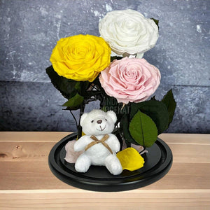 3 Trandafiri Criogenati mari, galben, alb, roz, cupola ursulet - Trandafir-Criogenat.ro