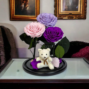 3 Trandafiri Criogenati mari, lila, roz, purpuriu, cupola ursulet - Trandafir-Criogenat.ro