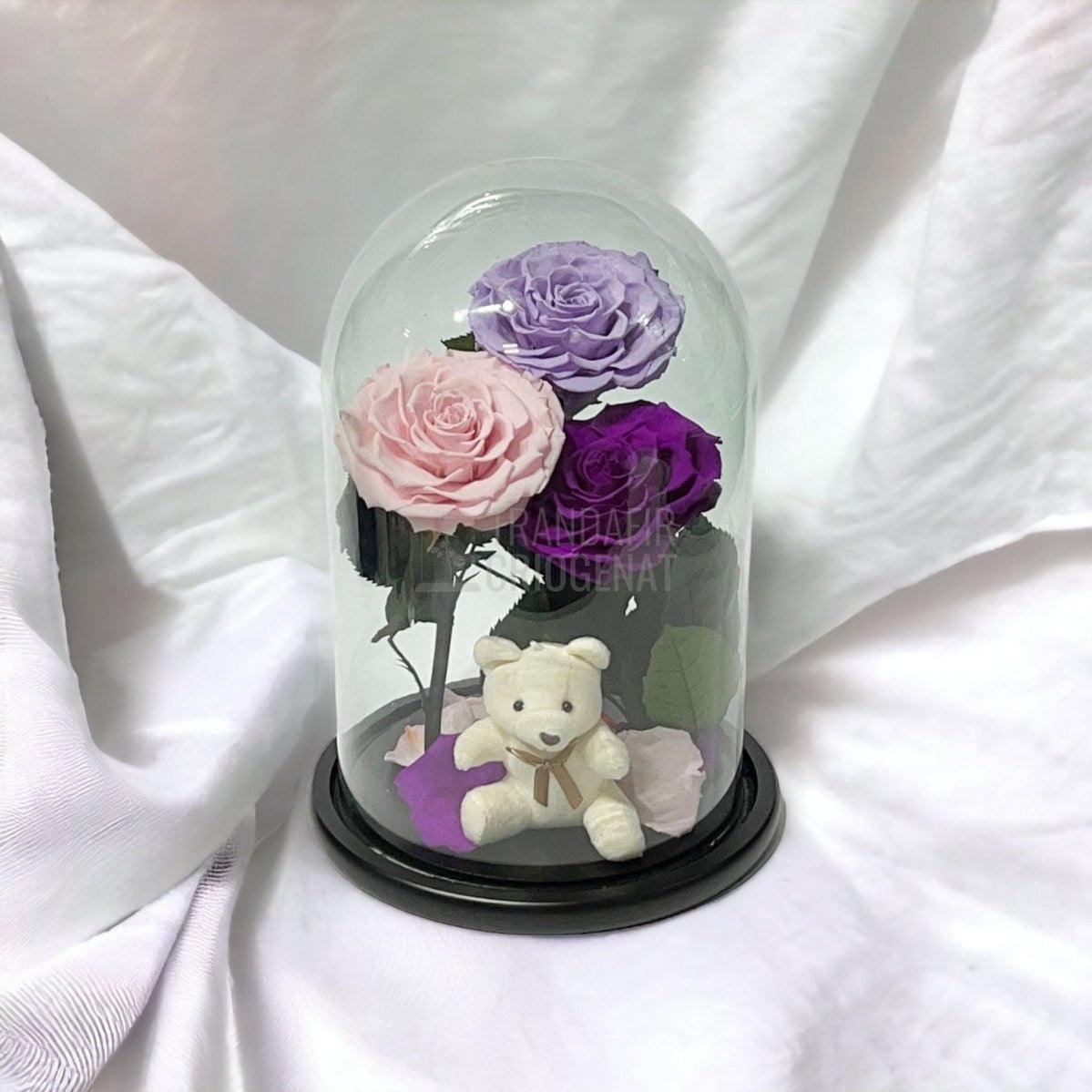3 Trandafiri Criogenati mari, lila, roz, purpuriu, cupola ursulet - Trandafir-Criogenat.ro