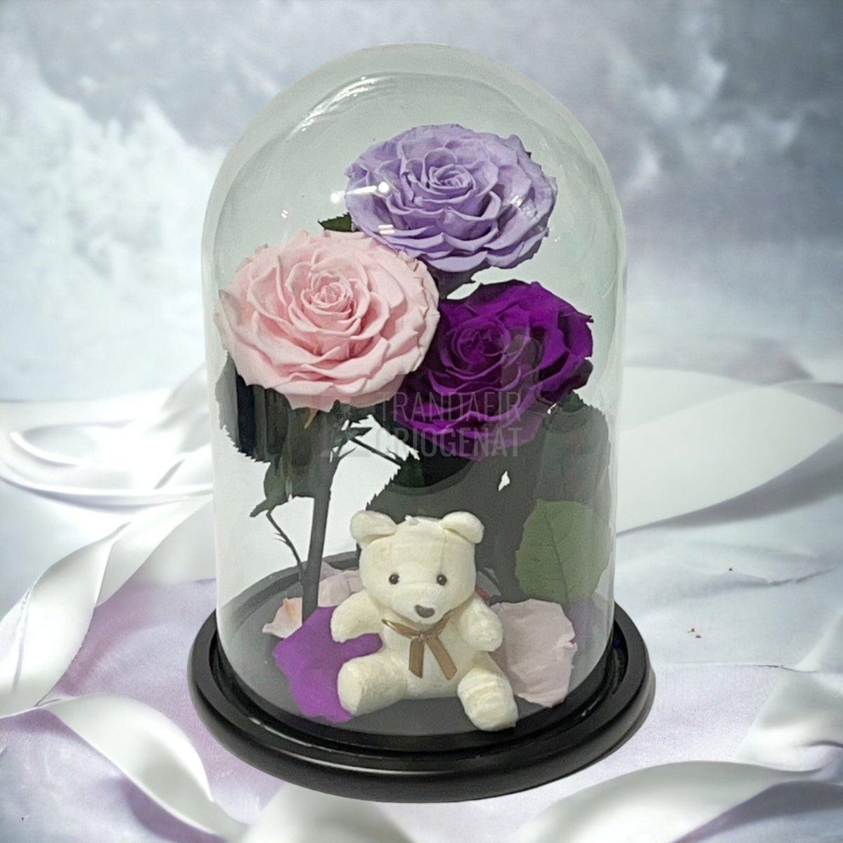 3 Trandafiri Criogenati mari, lila, roz, purpuriu, cupola ursulet - Trandafir-Criogenat.ro