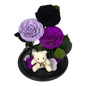3 Trandafiri Criogenati mari, negru, lila, purpuriu, cupola ursulet - Trandafir-Criogenat.ro