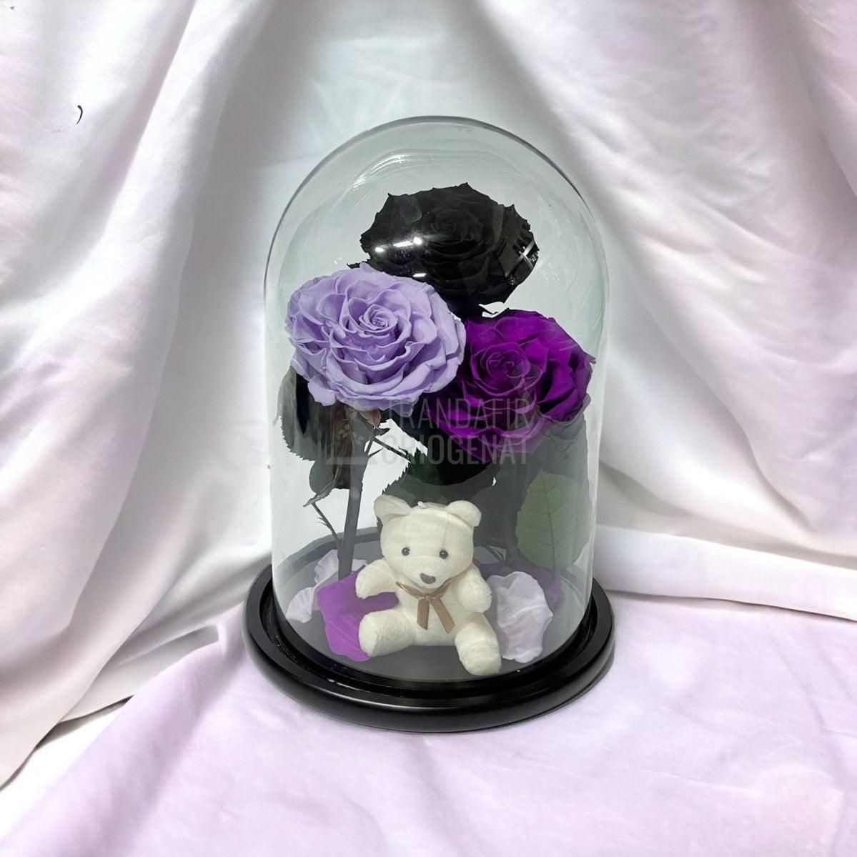 3 Trandafiri Criogenati mari, negru, lila, purpuriu, cupola ursulet - Trandafir-Criogenat.ro