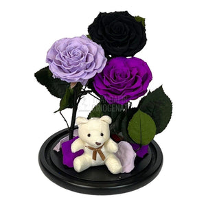 3 Trandafiri Criogenati mari, negru, lila, purpuriu, cupola ursulet - Trandafir-Criogenat.ro