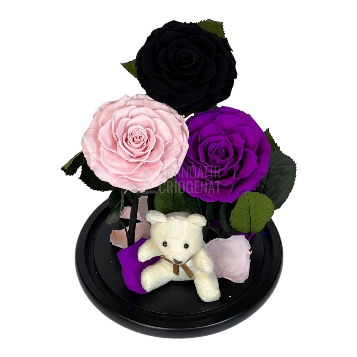 3 Trandafiri Criogenati mari, negru, roz, purpuriu, cupola ursulet - Trandafir-Criogenat.ro