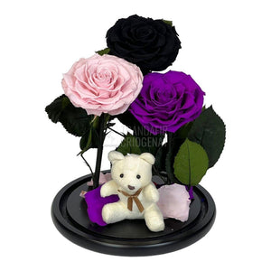 3 Trandafiri Criogenati mari, negru, roz, purpuriu, cupola ursulet - Trandafir-Criogenat.ro