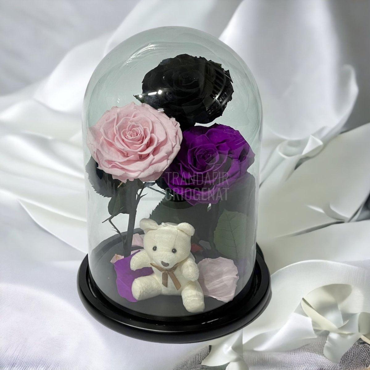 3 Trandafiri Criogenati mari, negru, roz, purpuriu, cupola ursulet - Trandafir-Criogenat.ro